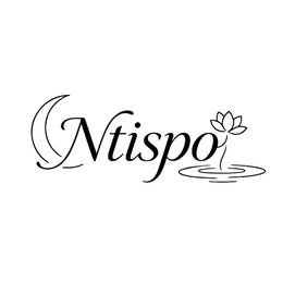 NTISPO logo