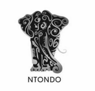 NTONDO logo