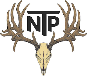NTP logo
