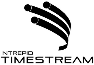 NTREPID TIMESTREAM logo