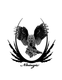 NTRINZIC logo