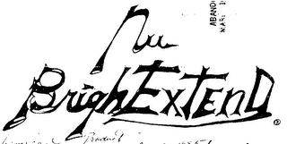 NU BRIGHT EXTENT logo