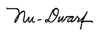 NU-DWARF logo