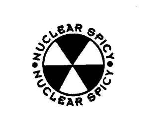 NUCLEAR SPICY logo