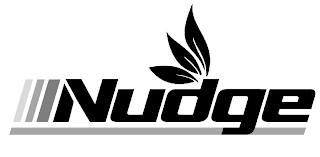 NUDGE logo