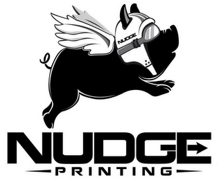 NUDGE NUDGE PRINTING logo