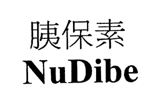 NUDIBE logo