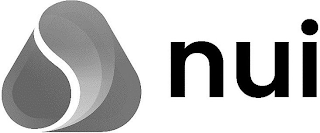 NUI logo