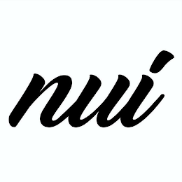 NUI logo