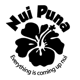 NUI PUNA EVERYTHING IS COMING UP NUI logo