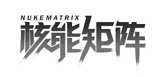 NUKEMATRIX logo