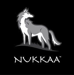 NUKKAA logo