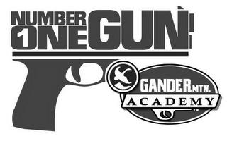 NUMBER 1 ONE GUN GANDERMTN. ACADEMY logo
