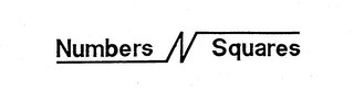 NUMBERS N SQUARES logo