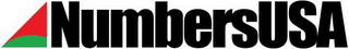 NUMBERSUSA logo