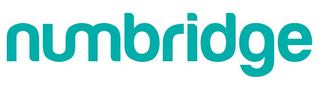 NUMBRIDGE logo