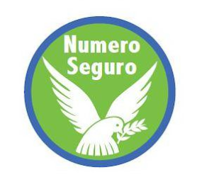 NUMERO SEGURO logo