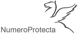 NUMEROPROTECTA logo