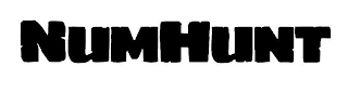 NUMHUNT logo