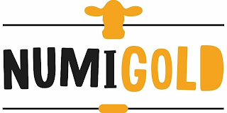 NUMIGOLD logo