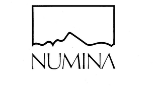 NUMINA logo
