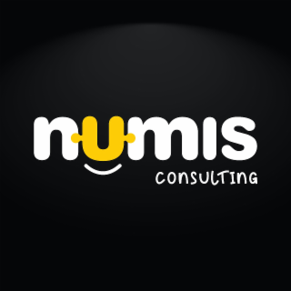 NUMIS CONSULTING logo
