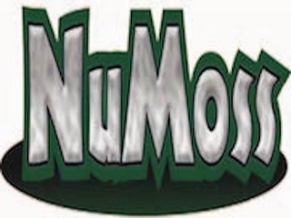 NUMOSS logo