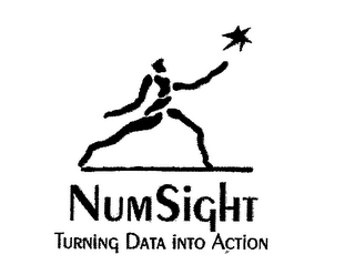 NUMSIGHT TURNING DATA INTO ACTION logo
