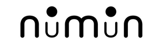 NUMUN logo