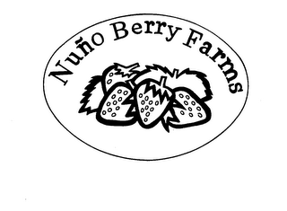 NUNO BERRY FARMS logo
