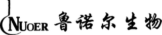 NUOER logo