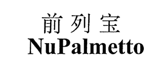NUPALMETTO logo