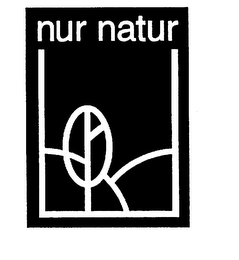 NUR NATUR logo