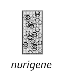 NURIGENE logo