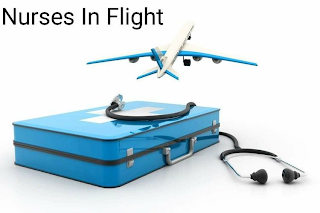 NURSES IN FLIGHT logo