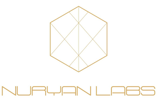 NURYAN LABS logo