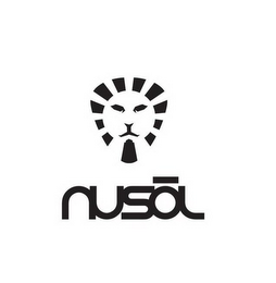 NUSOL logo
