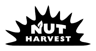 NUT HARVEST logo