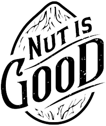 NUT IS GOOD logo