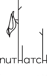 NUTHATCH logo