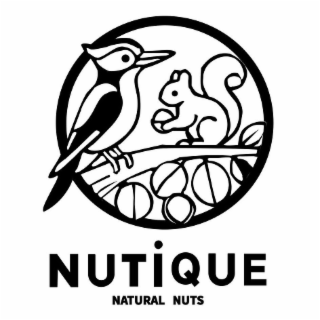 NUTIQUE NATURAL NUTS logo