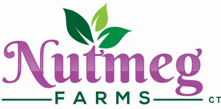 NUTMEG FARMS CT logo
