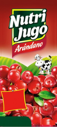 NUTRI JUGO ARÁNDANO PILI logo