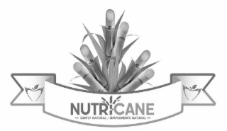 NUTRICANE ꟷ SIMPLY NATURAL / SIMPLEMENTE NATURAL ꟷ logo