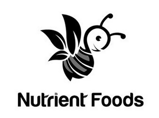 NUTRIENT FOODS logo