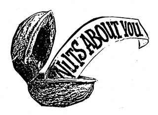 NUTS ABOUT YOU logo