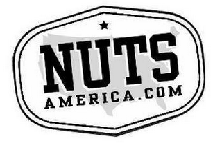 NUTSAMERICA.COM logo