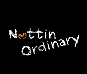 NUTTIN ORDINARY logo