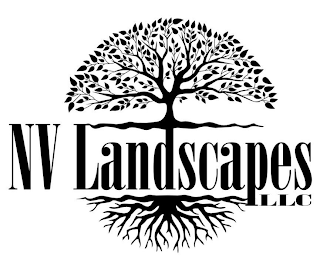 NV LANDSCAPES LLC logo