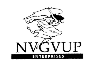 NVGVUP ENTERPRISES logo